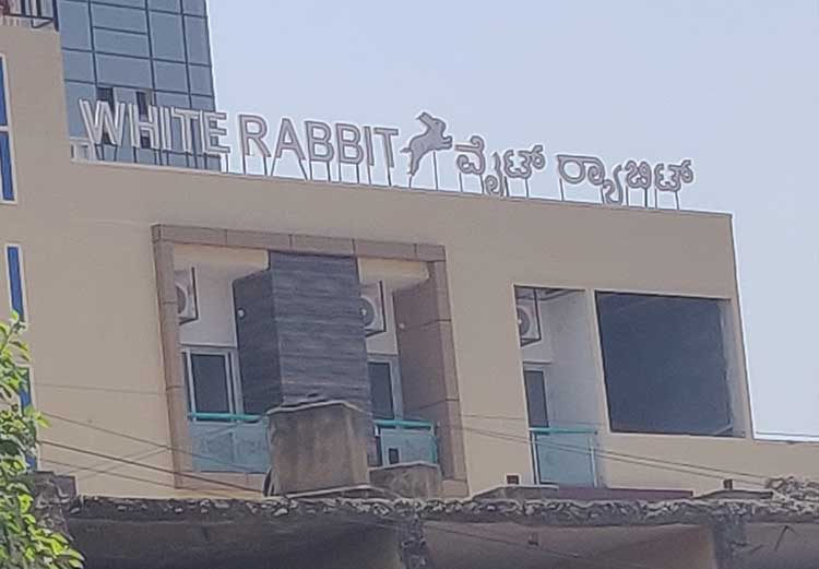 white rabit mahadevapura